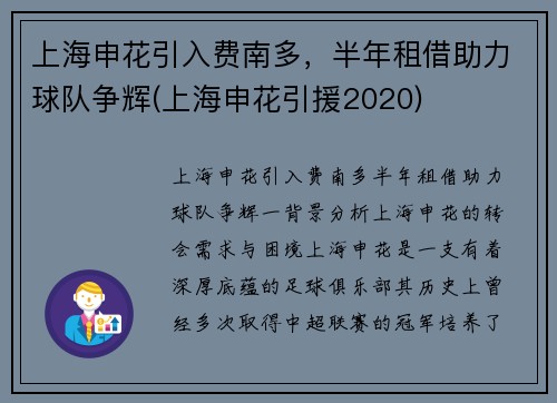 上海申花引入费南多，半年租借助力球队争辉(上海申花引援2020)