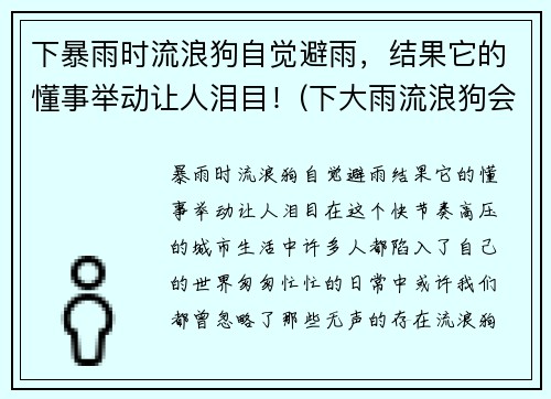 下暴雨时流浪狗自觉避雨，结果它的懂事举动让人泪目！(下大雨流浪狗会在哪躲雨)