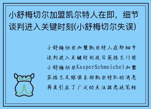 小舒梅切尔加盟凯尔特人在即，细节谈判进入关键时刻(小舒梅切尔失误)